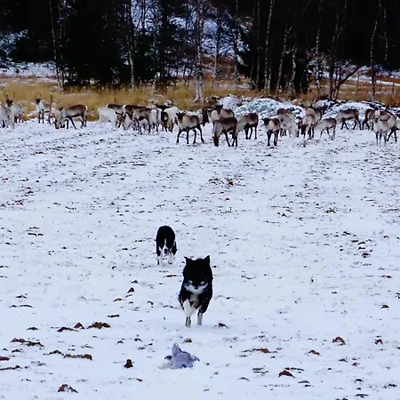 בית נופש Granheim