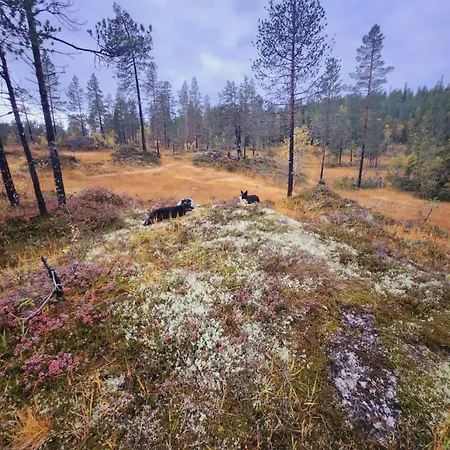 Granheim Semesterbostad Namsskogan