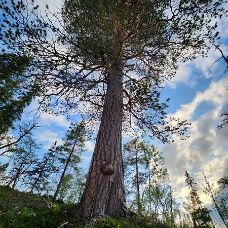 בית נופש Granheim *