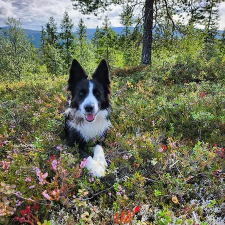 בית נופש Granheim Namsskogan